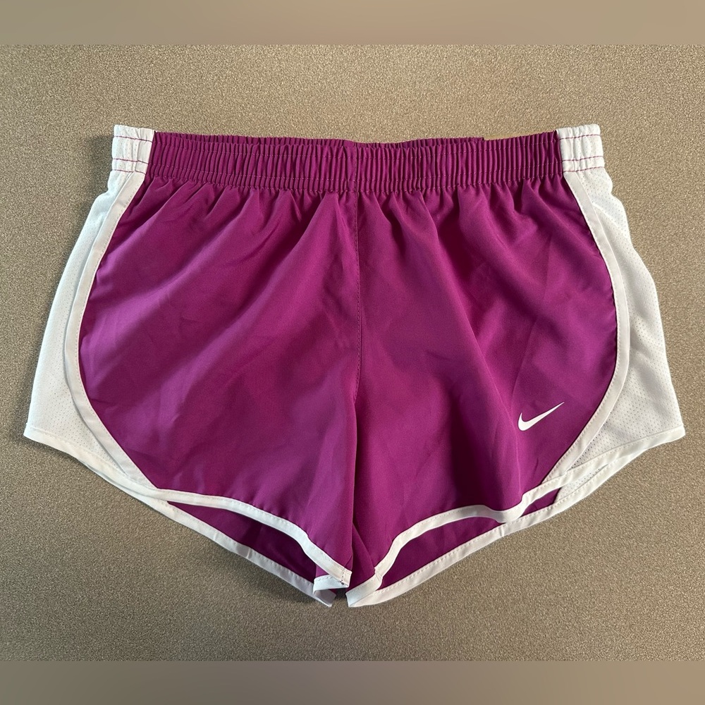 Nike Dri-Fit Running Shorts - NWT